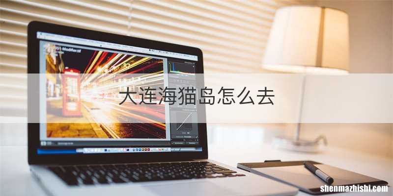 大连海猫岛怎么去