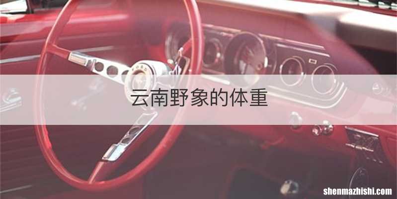 云南野象的体重