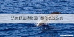 济南野生动物园门票怎么这么贵