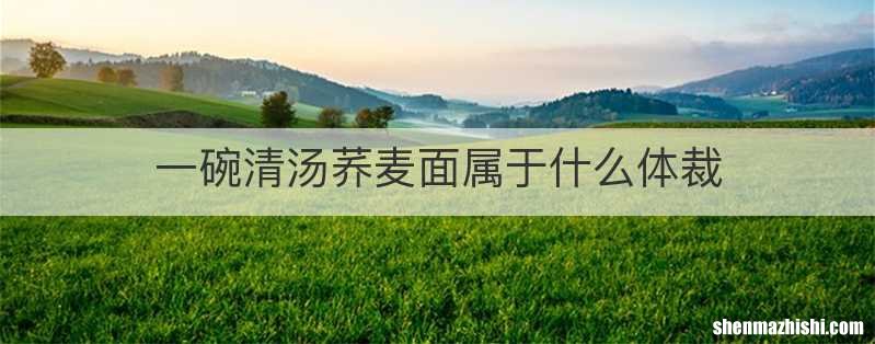 一碗清汤荞麦面属于什么体裁