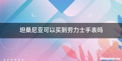 坦桑尼亚可以买到劳力士手表吗