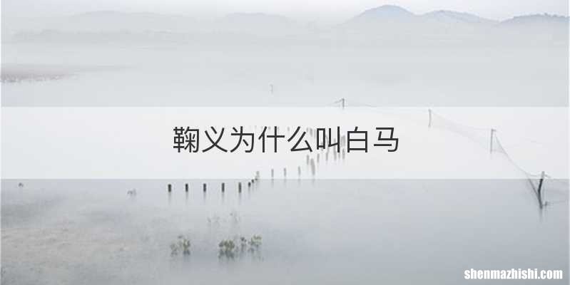 鞠义为什么叫白马