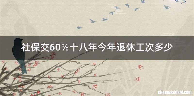 社保交60%十八年今年退休工次多少