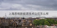 上海思格新能源技术公司怎么样