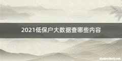 2021低保户大数据查哪些内容