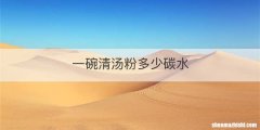 一碗清汤粉多少碳水