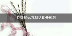 沙瑞加vs瓦赫达比分预测