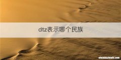 dtz表示哪个民族
