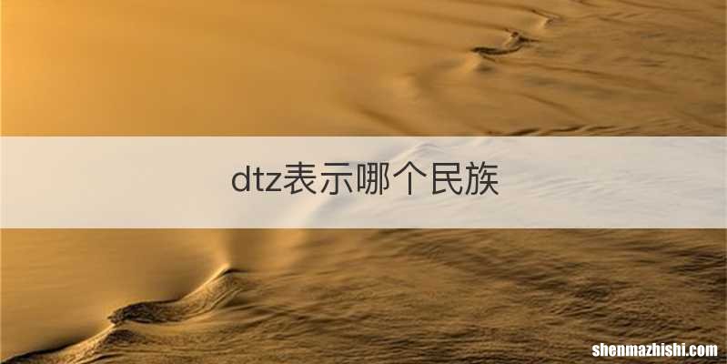 dtz表示哪个民族