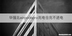 华强北airpodspro充电仓充不进电