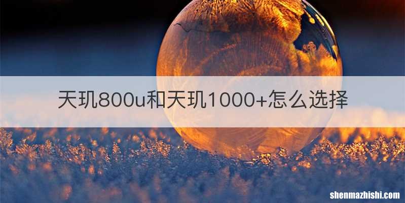 天玑800u和天玑1000+怎么选择