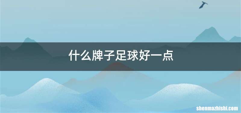 什么牌子足球好一点
