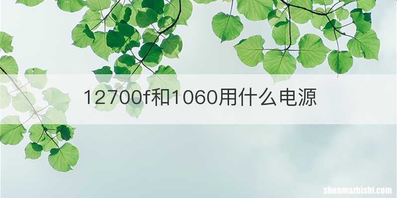 12700f和1060用什么电源