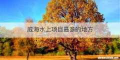 威海水上项目最多的地方