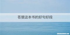 苍狼这本书的好句好段