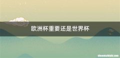 欧洲杯重要还是世界杯