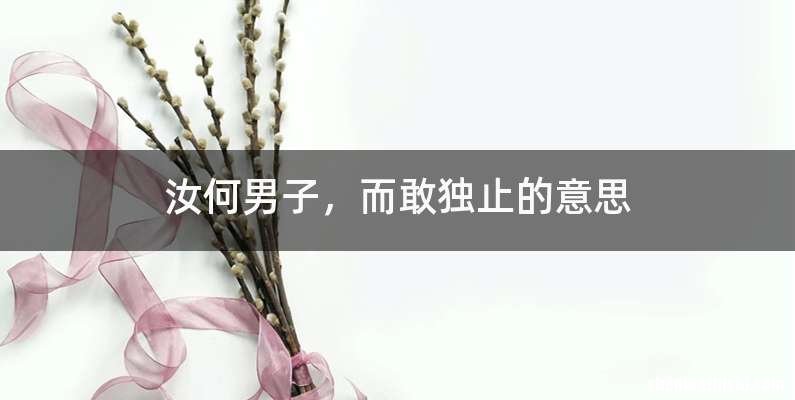 汝何男子，而敢独止的意思