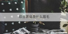 综合雾眉是什么眉毛