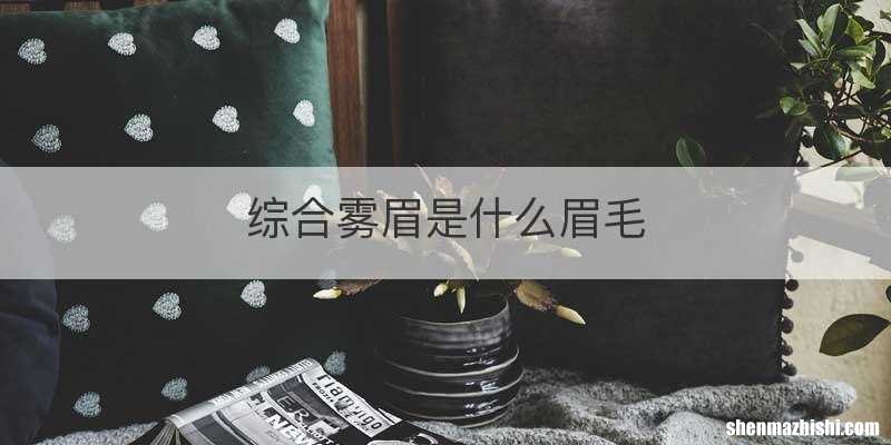 综合雾眉是什么眉毛