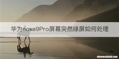 华为nova9Pro屏幕突然绿屏如何处理