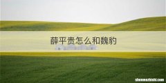 薛平贵怎么和魏豹