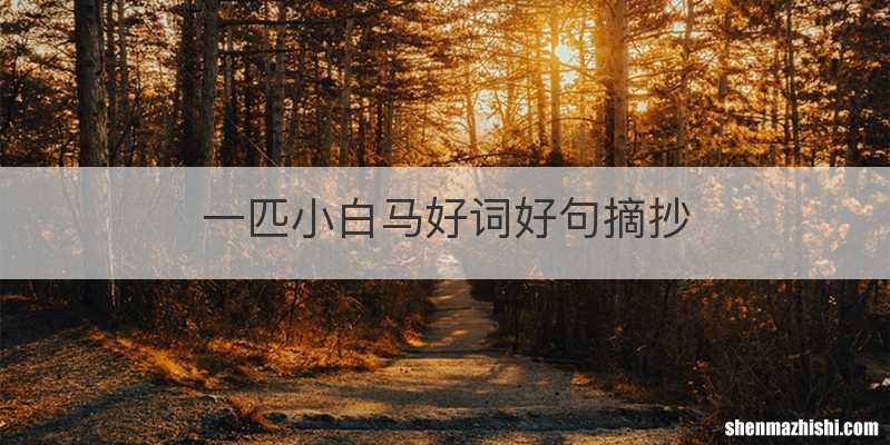 一匹小白马好词好句摘抄