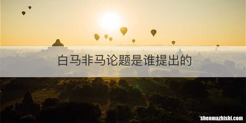 白马非马论题是谁提出的