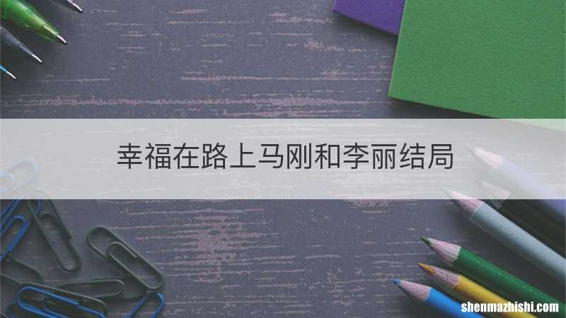 幸福在路上马刚和李丽结局