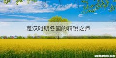 楚汉时期各国的精锐之师