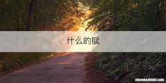 什么的赋