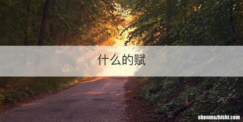 什么的赋