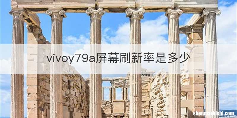 vivoy79a屏幕刷新率是多少