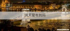 满天星有刺吗