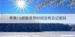 苹果13屏幕使用时间没有忘记密码