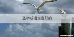 圣字成语寓意好的