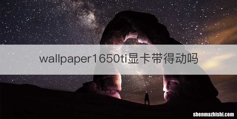 wallpaper1650ti显卡带得动吗