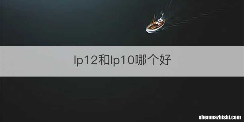 lp12和lp10哪个好