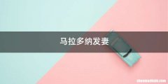 马拉多纳发妻