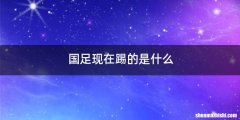 国足现在踢的是什么