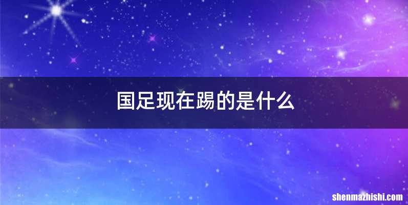 国足现在踢的是什么