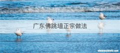 广东佛跳墙正宗做法