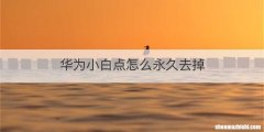 华为小白点怎么永久去掉