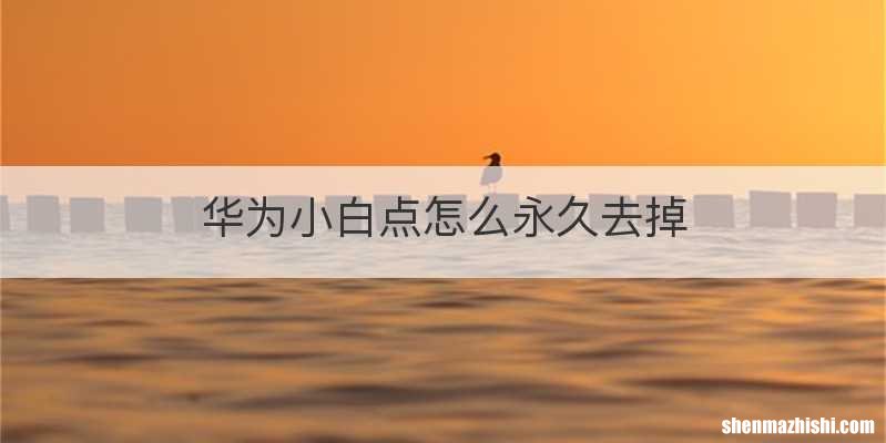 华为小白点怎么永久去掉