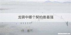 龙骑中哪个契约兽最强