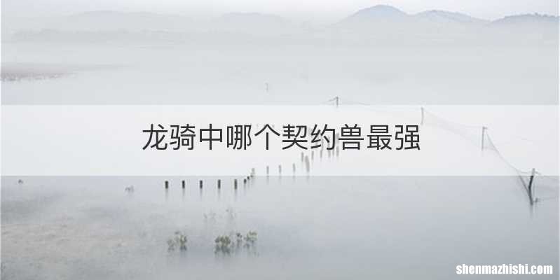 龙骑中哪个契约兽最强