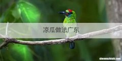 凉瓜做法广东
