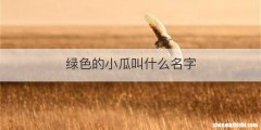 绿色的小瓜叫什么名字
