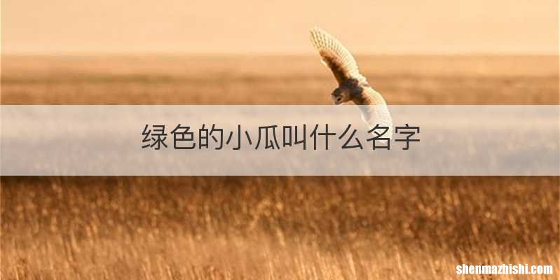 绿色的小瓜叫什么名字