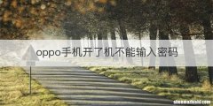 oppo手机开了机不能输入密码