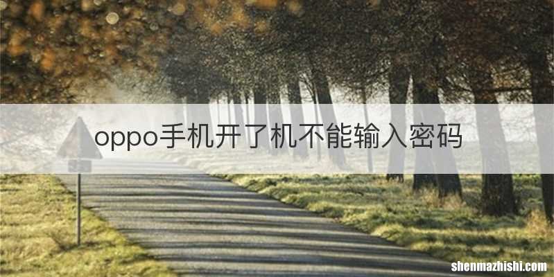 oppo手机开了机不能输入密码